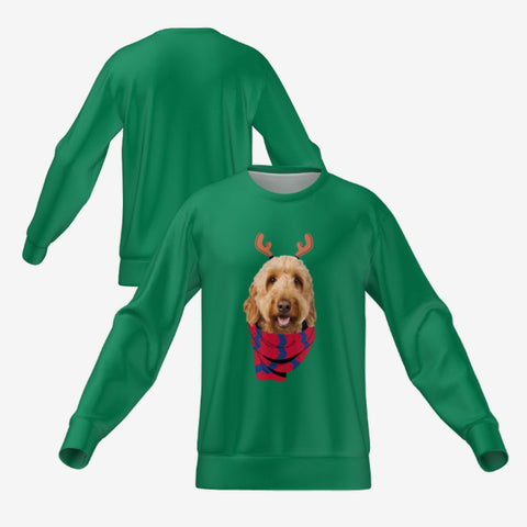 REINDEER PET SWEATER - GREEN