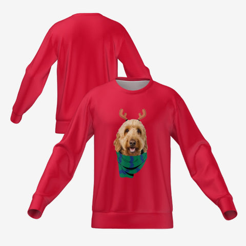 REINDEER PET SWEATER - RED
