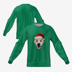 SANTA PET SWEATER - GREEN